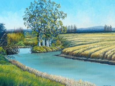 "River Gums - Clive" - A resolute clump of gums hold fast in a small inlet near the mouth of the Ngaruroro River near Clive. - Painting by Graham Stichbury, an artist from Hawke's Bay, New Zealand.