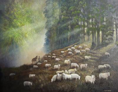 "Sheep drive" - The last flock of sheep is driven up from the valley. - Painting by Graham Stichbury, an artist from Hawke's Bay, New Zealand.