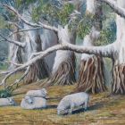 Gum Trees